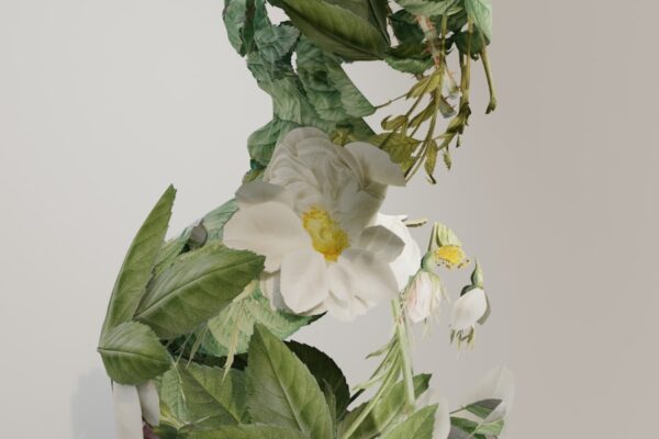 a white flower with green leaves on a white background